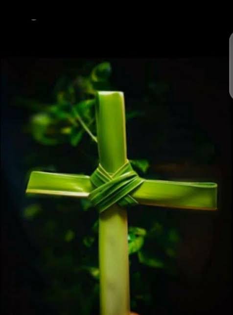 cacyofoffice's tweet photo. #HappyPalmSunday

Do we have a generation that lost out in the interesting memories of these palm fronds?😀 https://t.co/khOKr8B40p