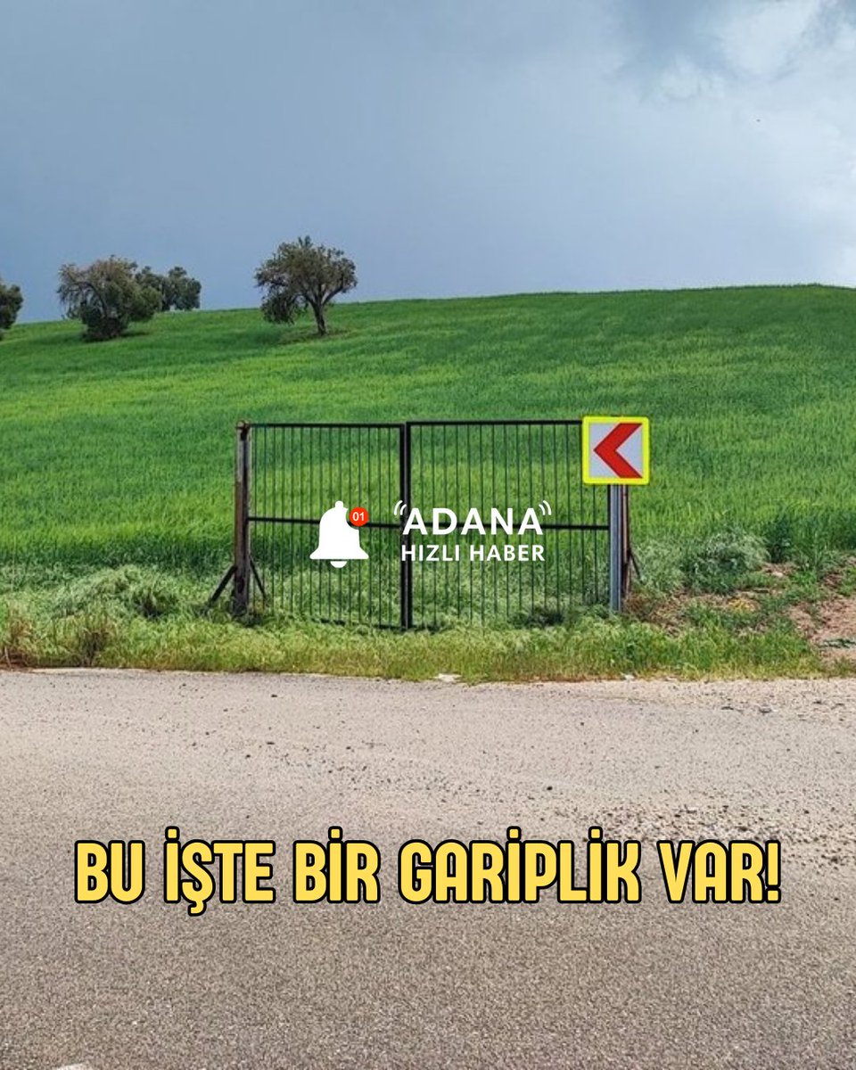 babayigit1923's tweet image. Adana'da bir çiftçi, tarlasını korumak amacıyla dört bir yanı açık olan alanına demir kapı ve asma kilit yerleştirdi.

#adana #sondakika #adanahaber #ciftci