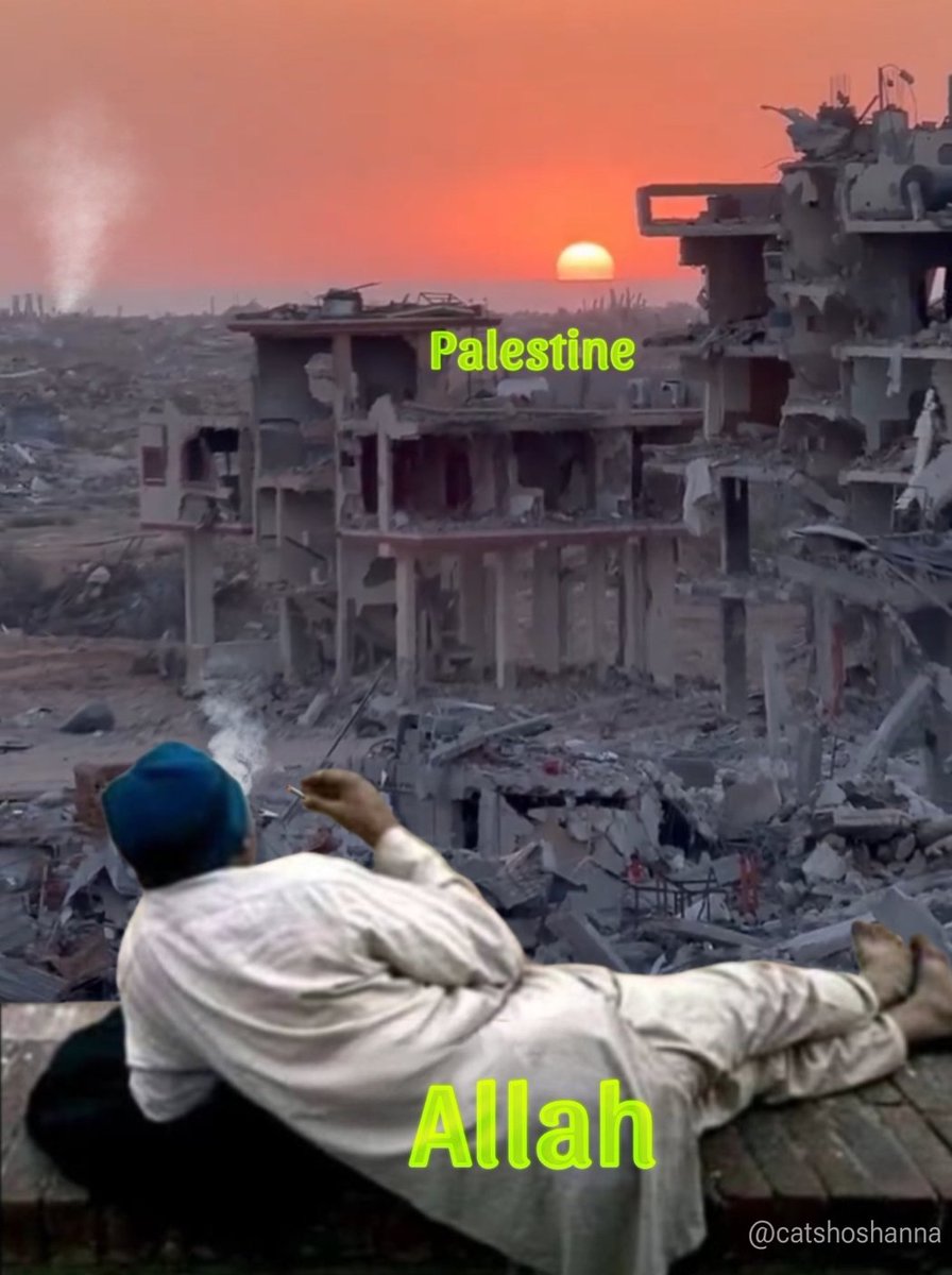 error_sy's tweet photo. @ahmedsmiry_GAZA https://t.co/yANATYuoK9