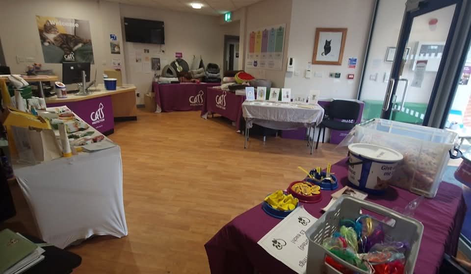 MrsLinziKerr's tweet photo. Come down and join us at the centre for our Spring Open Day! 🌞 We have a few stalls on site and a chance to view some of the cats! 

#fundraising #openday #cats #rescue #moggy #catsprotection https://t.co/xApt22Oktg