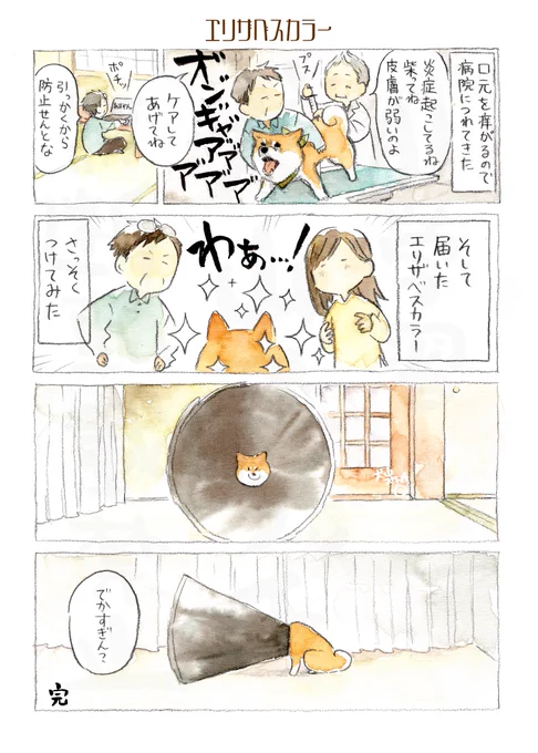 ぽんちゃん おまとめ(1/4) 