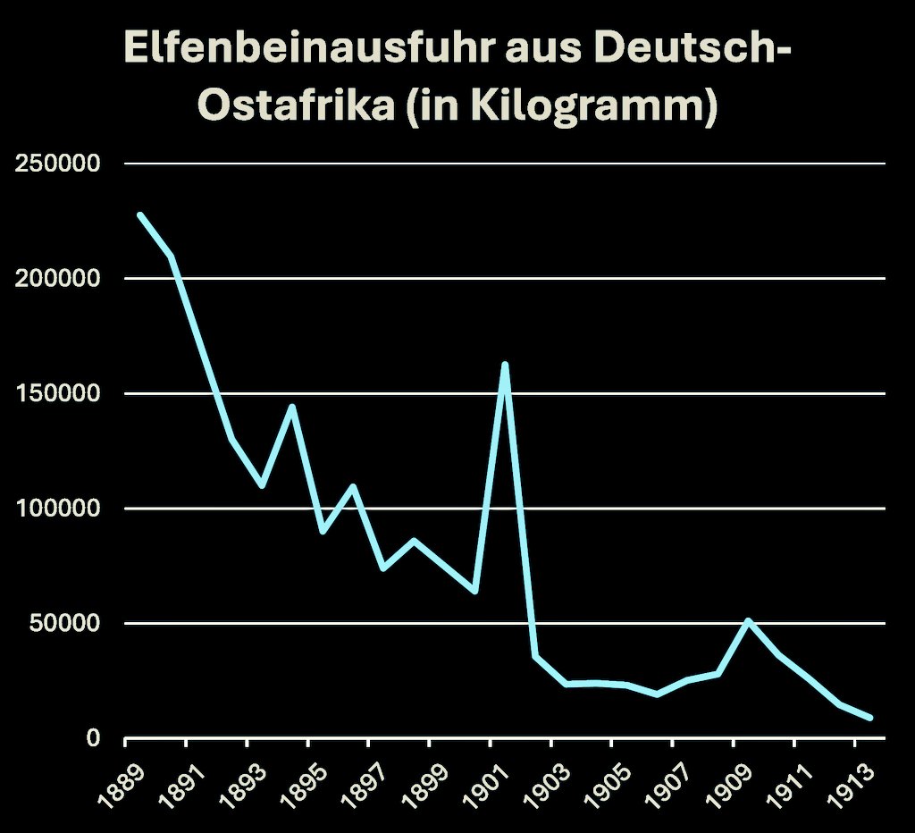 LeutweinsG's tweet photo. Unter deutscher Kolonialherrschaft ging der Elfenbeinhandel in #Ostafrika kontinuierlich zurück, z.T. wegen der zunehmend ausgebeuteten Bestände, z.T. aber auch aufgrund von Jagdschutzbestimmungen. https://t.co/bCJKbZqaqZ