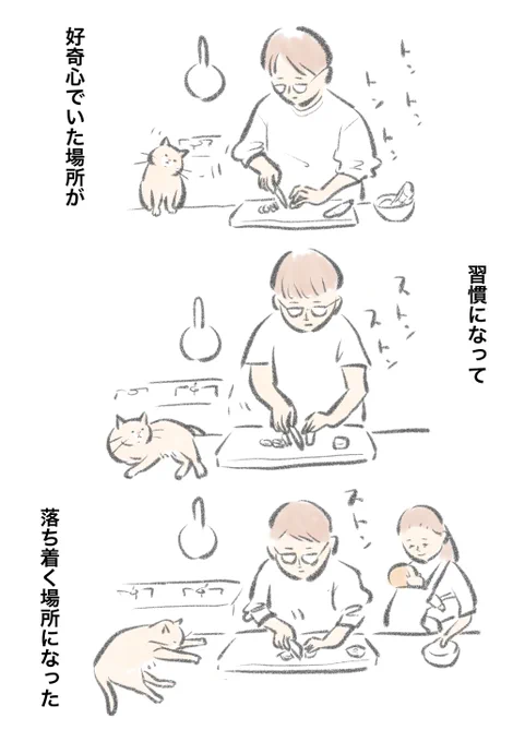 キッチンに来る猫。 