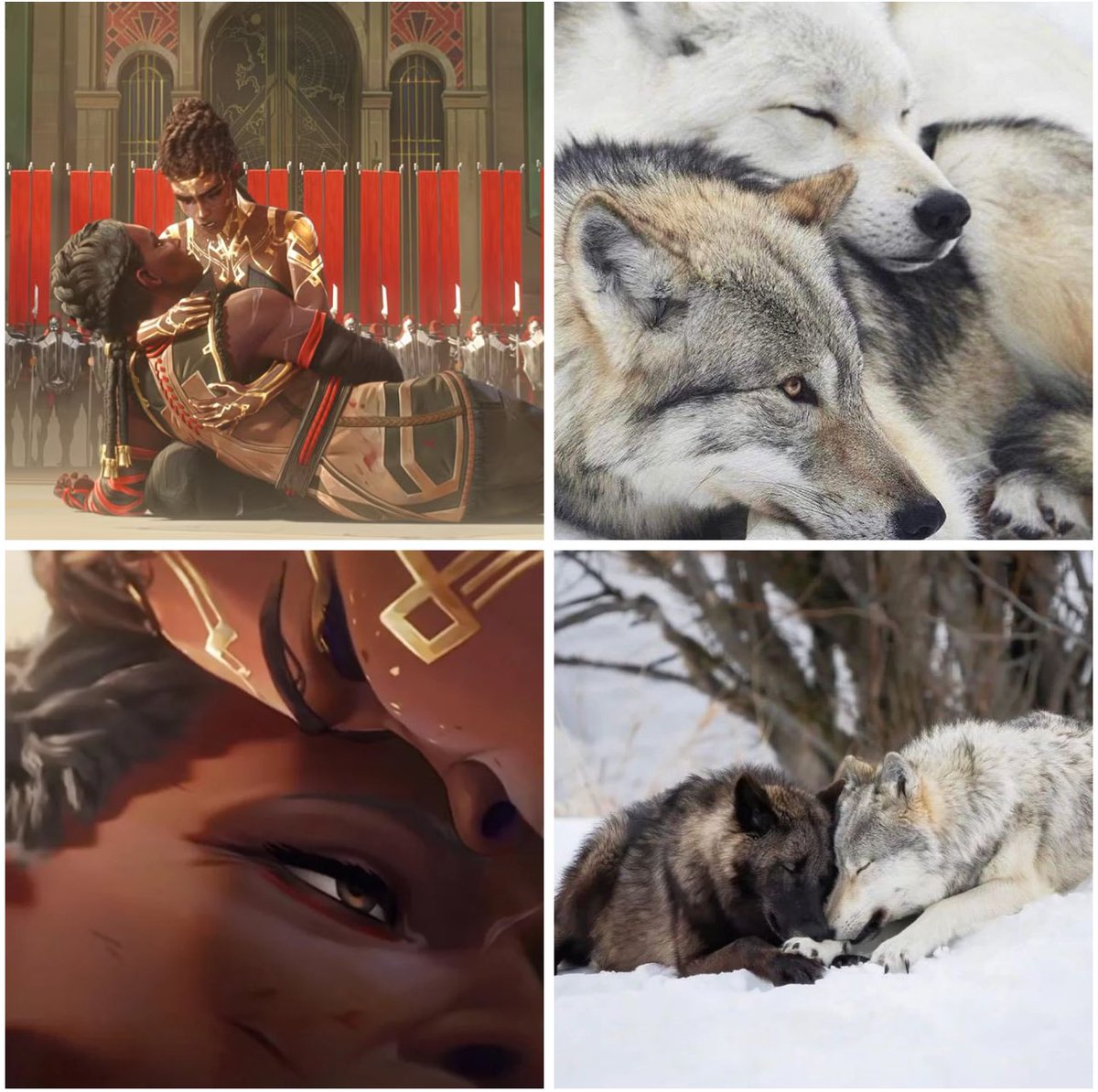 Matriarch of War, fists of steels and body of iron—worry not your head any further with war. 

Lay your weary body down, for your eternal rest has come. 

Let the fruit of your labor ripen and be served for the years of war you have done. 

You are the wolf, 

who now rests.