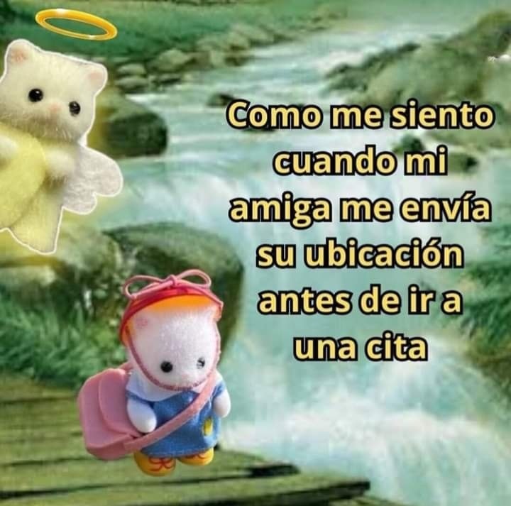 animalitos gorditos (@gordito_perrito) on Twitter photo 