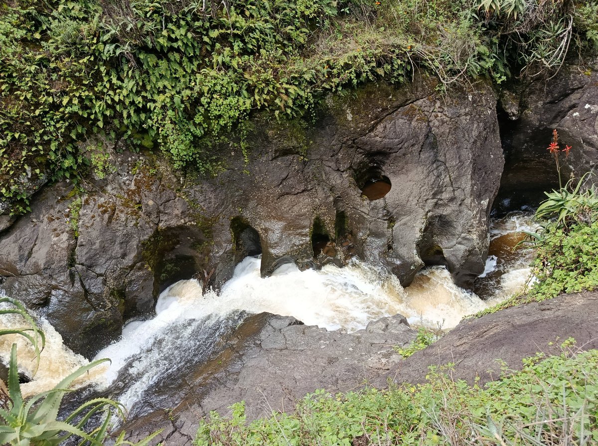 thedustyfellow's tweet image. Fresh air, stunning scenery, and good company – the perfect ingredients for a fantastic hike!