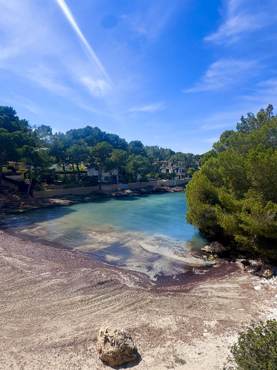 Had the best time away in Majorca, it was a well needed switch off! Our last holiday as just us three!! ☀️ so excited for the year ahead!