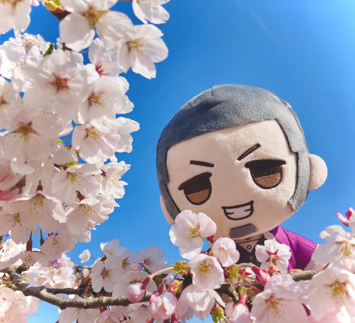 去年の桜と白石。友達とお菓子爆買いして見に行ったけど、楽しかったなぁ。
こっちの桜はそろそろですかね。