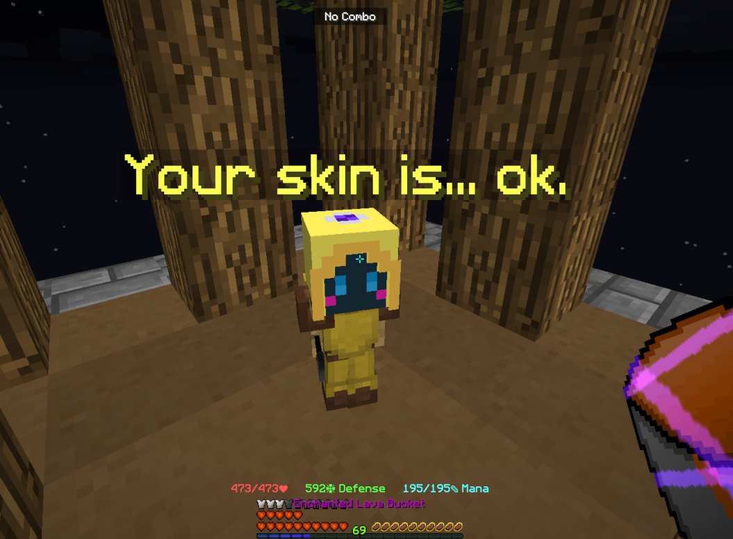 RPickaxe00's tweet photo. skyblock fucking tweaking

what does bro mean by this? https://t.co/wOilg0r4Yq