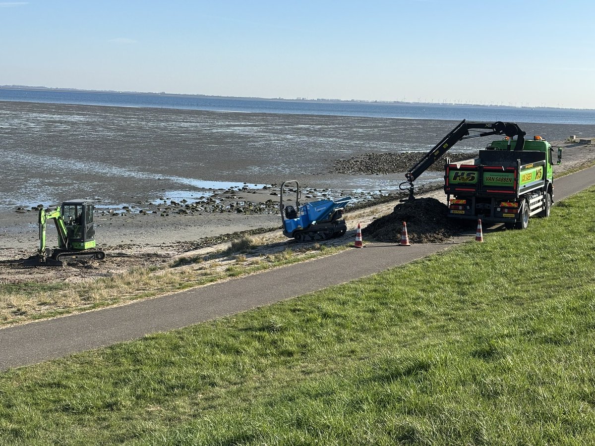 Verwijderen zeewier Strandje Kattendijke