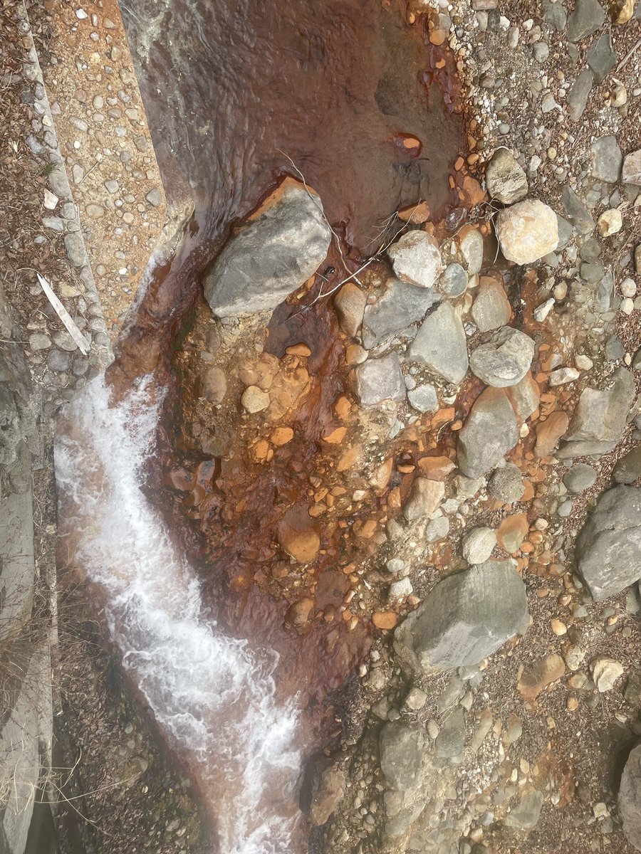 これが川なんてすげえなって思う反面、絶対魚はいないだろうなって思ってた