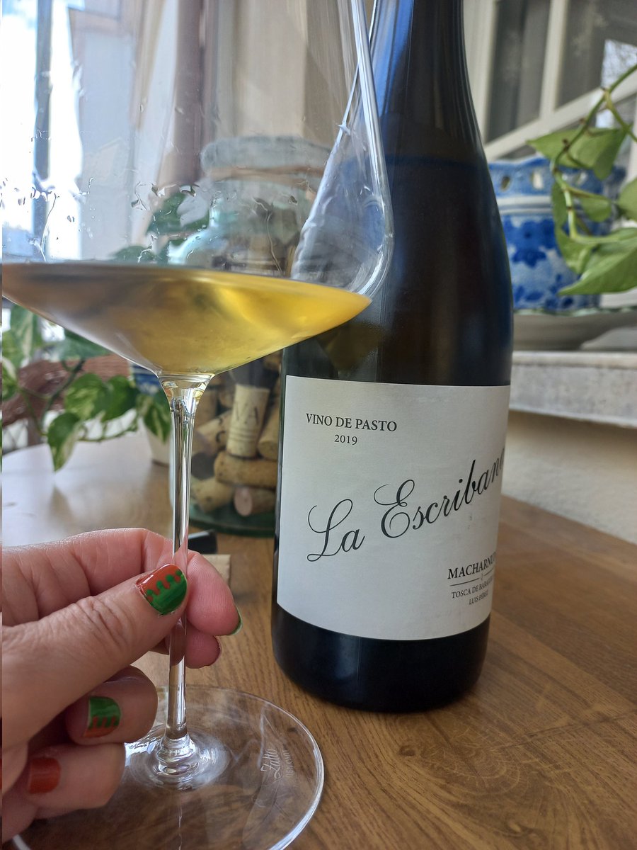 Susana Moralejo tweet media