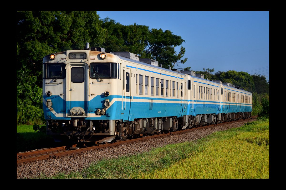 41e233's tweet photo. #みんなの撮影機材教えて 
Nikon D5100
ひな壇の中に紛れるおもちゃ使いとして孤軍奮闘してます。 https://t.co/an6Ykys9No