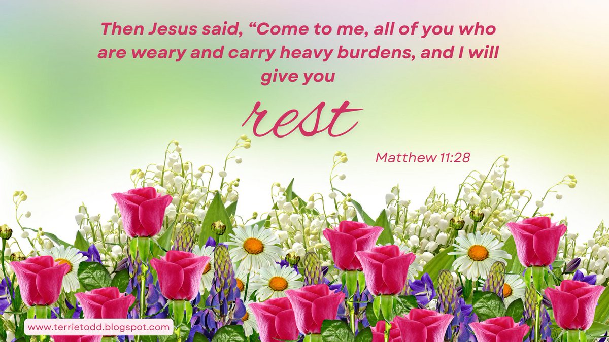 tjtodd2's tweet photo. Weary? Heavy-burdened? Here's a beautiful promise from Jesus himself. Happy Sunday! #truth #Godsword #holybible #realhopeforreallife #Godspromises #rest https://t.co/oLirpZ7nWI