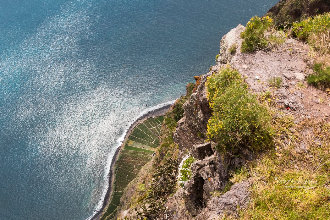 Madeira's tweet photo. Bom dia... Good morning... Guten morgen... Buenos dias... Bonjour... Goedemorgen... Buongiorno... Gm... GuMo... Moin... #Madeira https://t.co/6imkgqFBGf