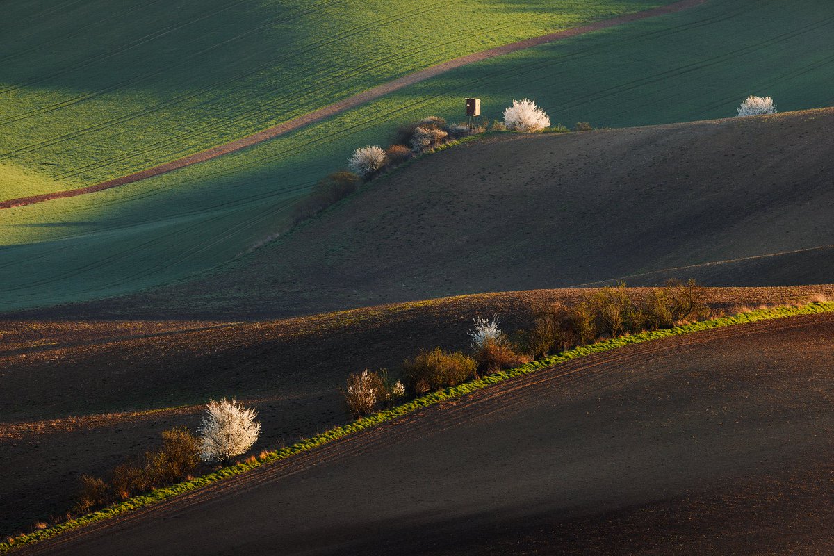 martas_'s tweet photo. Spring contrasts in South Moravia https://t.co/5UeEE2b8u3