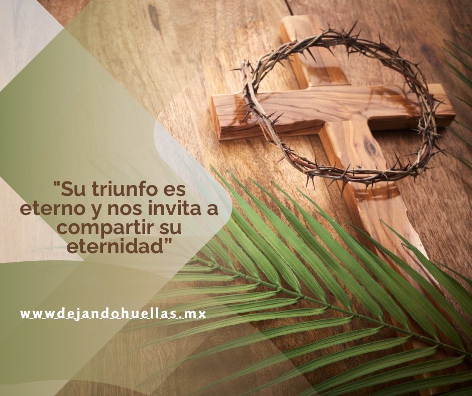Dejando12385801's tweet photo. #SemanaSanta2025
Domingo de Ramos

#DejandoHuellas 👣
#viajesparaelalma 🧡 https://t.co/mc1MX1yME4
