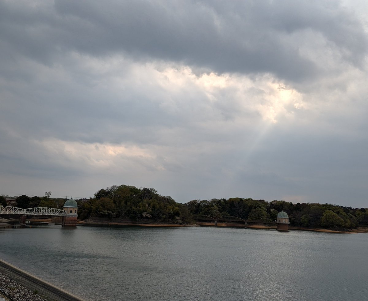 KEITHA51216831's tweet photo. 湖と桜が見たくなって終点で降りた
散る桜の元
子どもたちが駆けていく
雲の合間から光が射した

桜の下を歩いていたら
懐かしい曲の一節が浮かんできた
#BeeGees
#若葉のころ
中学の時，男女数人で
ここまで自転車を漕いで遊びに来たのを思い出した
林を抜けて緑のなか
走っていったあのとき
さざめく https://t.co/E53zPf7xxz