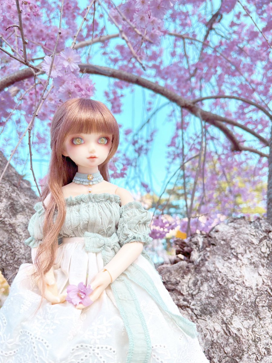 お外が似合うね

👗:#狸のファンタジー

#SDM45 #スーパードルフィー