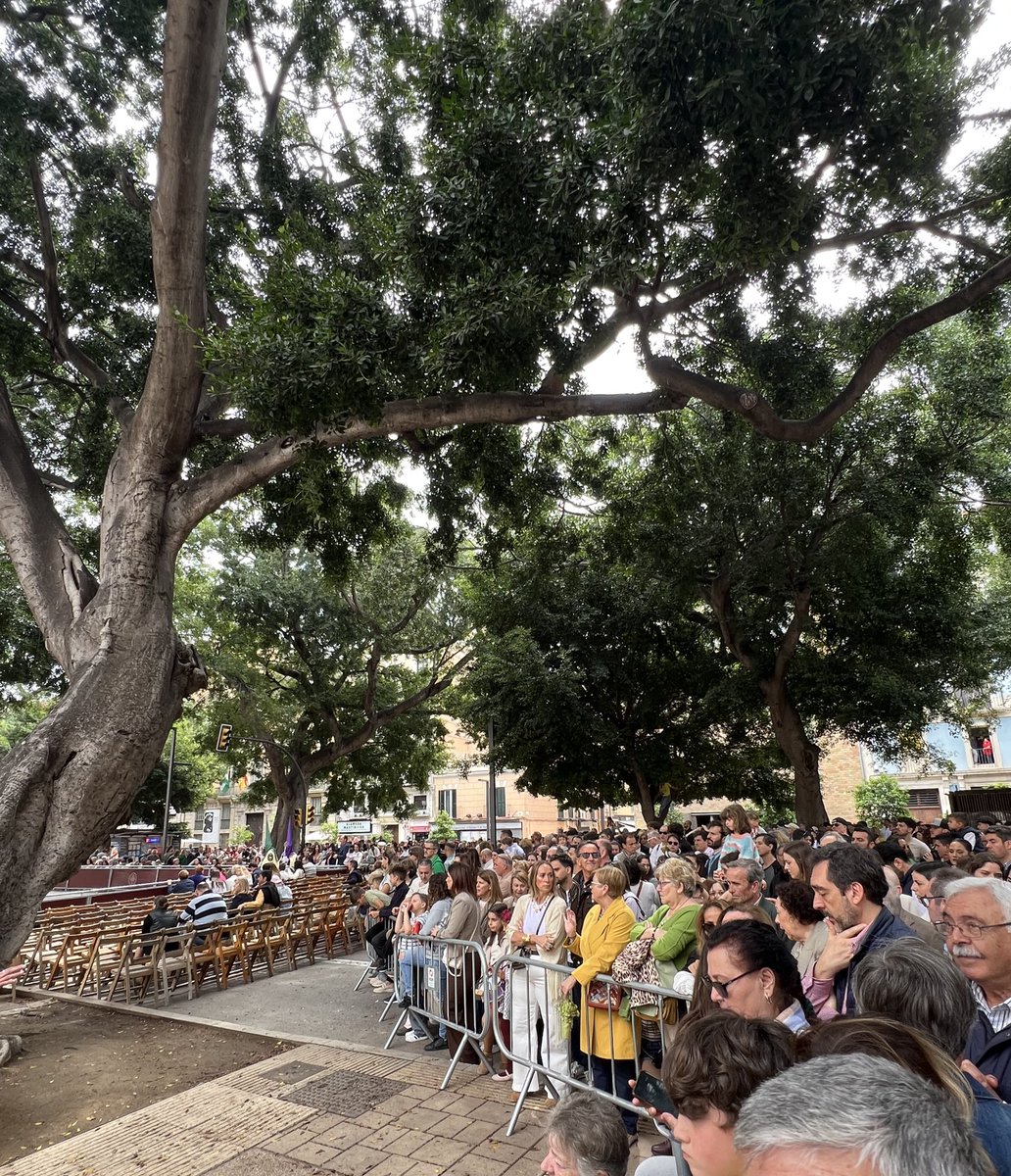 zozubts's tweet photo. Domingo de Ramos en #Malaga  13:05 cientos de personas viendo la procesión a 20 metros y el 90% de sillas vacías #CofradiasMLG @cofradiasmalaga https://t.co/c6AZWpJuZu