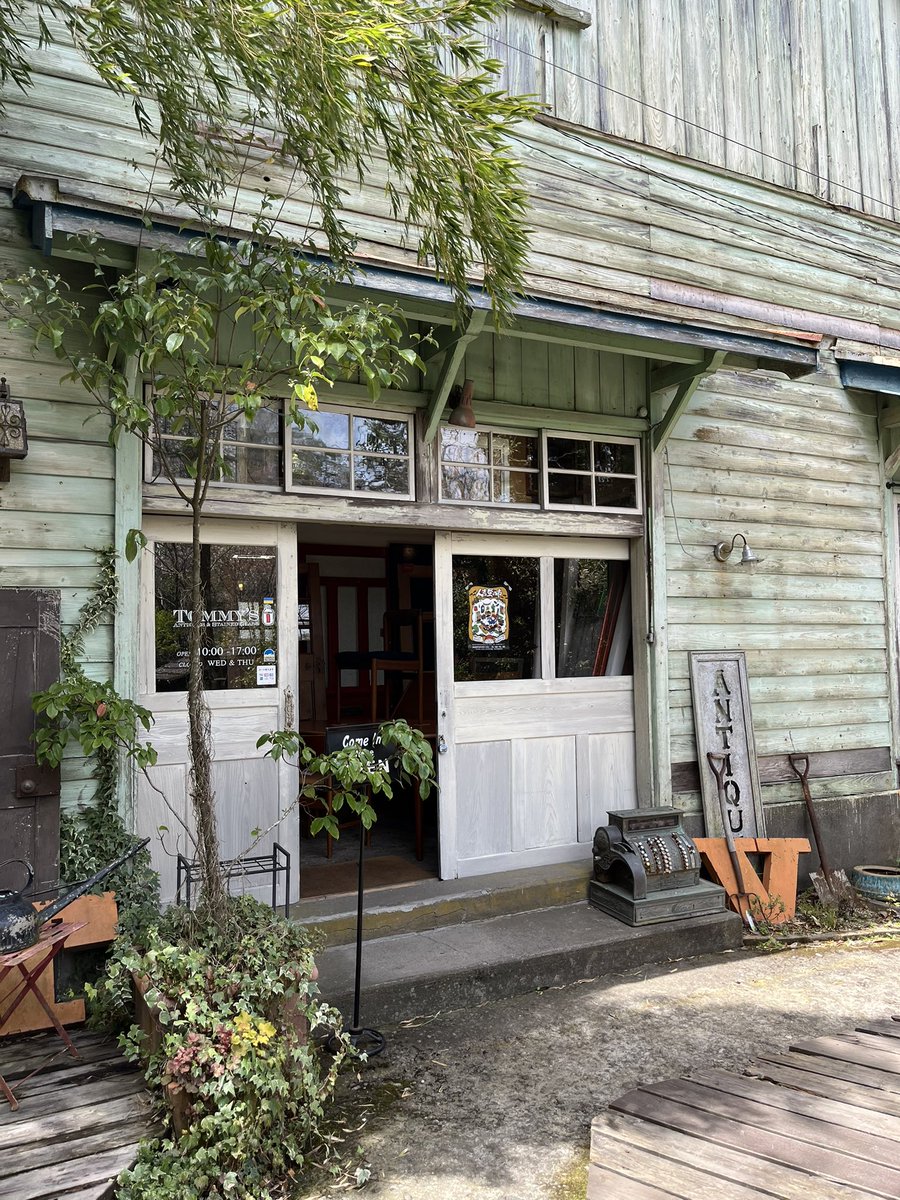 Dianthuser's tweet image. 以前よりずっと気になっていた #阿蘇薬草園 🌿
試飲させてもらい購入
香りと味に癒されます🫖
アンティークの店 #TOMMYS   で昔飼っていた🦮イングリッシュ•セッターの置物を見つけ感激☺️亡き父を思い出します
#阿蘇
#阿蘇神社
#鶯の声が聞こえる
