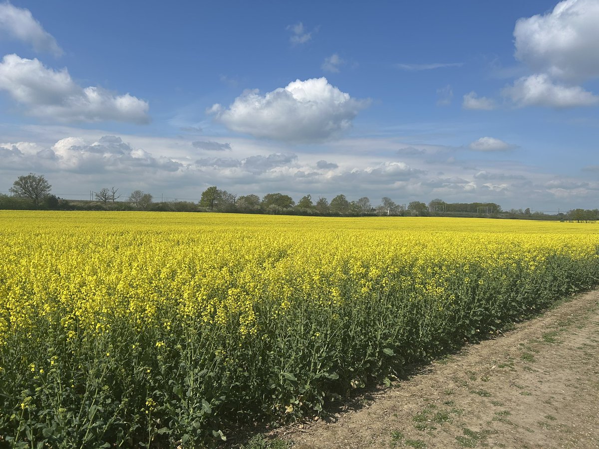 Jason Puddephatt (@puddy73) on Twitter photo 