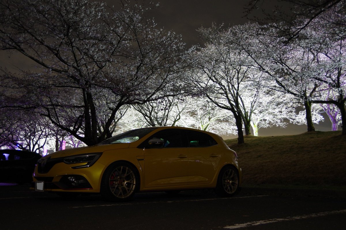 photo_ac_231022's tweet photo. MEGANE ×夜桜ライトアップ🌸

#pentax #pentaxkp #一眼レフ練習中 #renault #ルノー 
#renaultsport #ルノースポール #meganerstrophy #メガーヌrsトロフィー #bbs #rev7 #cherryblossom #桜 #夜桜 #夜桜ライトアップ https://t.co/V4LLcloGMe