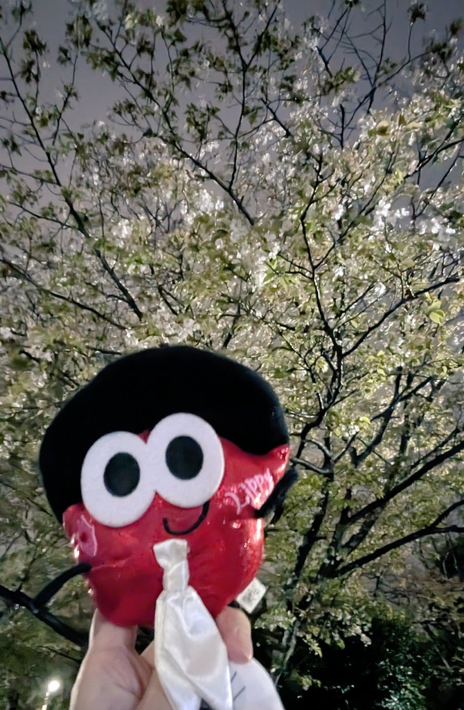 kei24930's tweet photo. 🌸全国からNissyへ春をお届け📣🌸
#Nissy_Re10th 全力で完走したNissyへ全国から桜のプレゼント🎁
隣の公園はもう終わりだったけど、ばあちゃんちの桜🌸も咲いてた
#Nissy_NBC
#Nissy_Re10th最高の到達点をありがとう
#Nissyに私達から春のお知らせ
#各地の桜
#NissyへLippy_Rujju_桜
@NissyStaff https://t.co/3DQ0DbMSsH