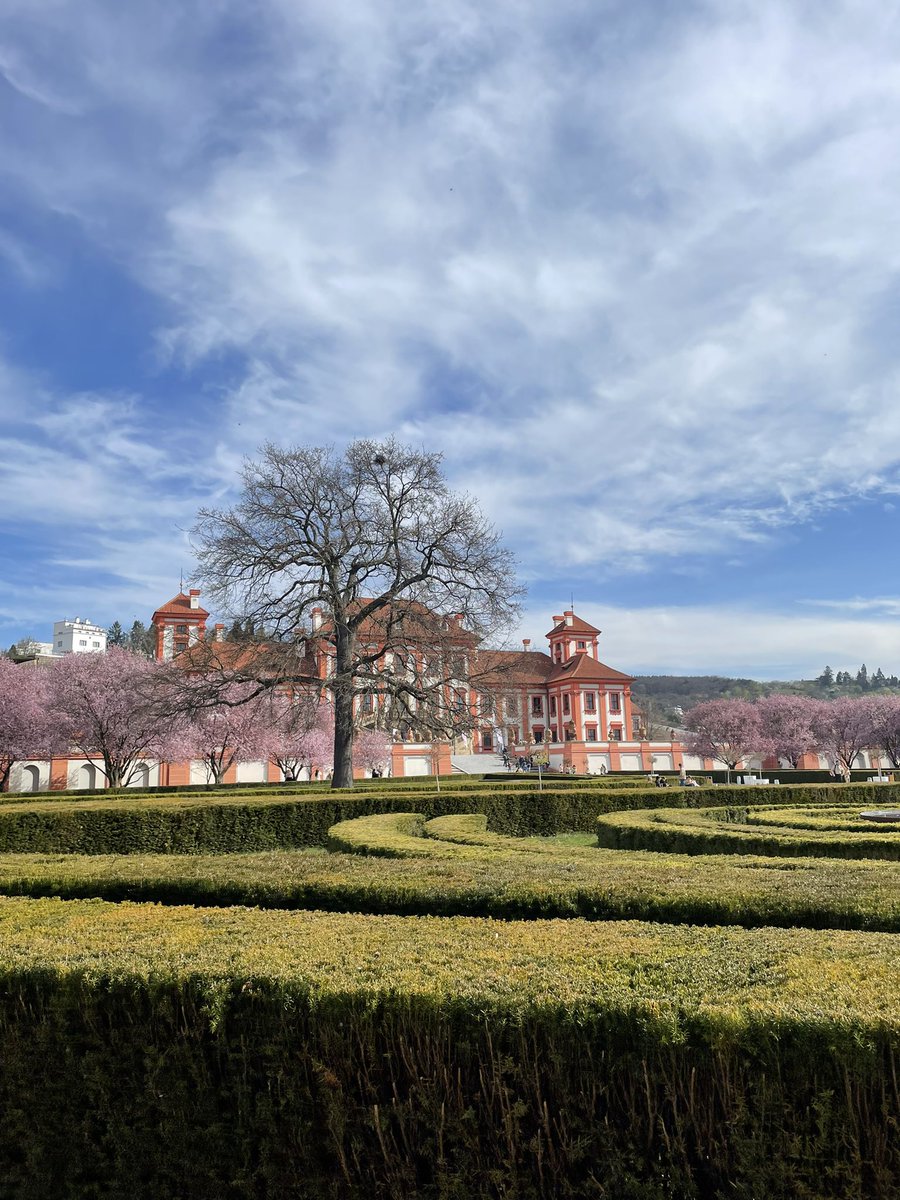 saki220's tweet image. プラハ、一年で一番美しい季節きた😍
#チェコへ行こう　@Czechia_JP