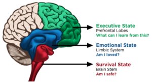 Gerry🧠🌱 tweet media