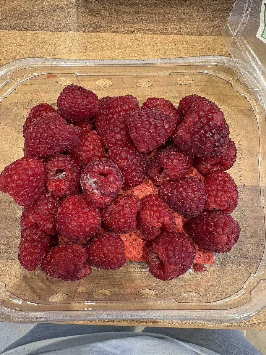 RlinsteadX's tweet photo. @Tesco These were delivered in my online shop? Already mouldy before their best before date! Can I have a replacement please? https://t.co/NpviQkVh0Q