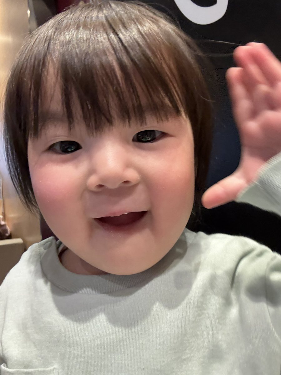 こはるちゃんを救う会 tweet media