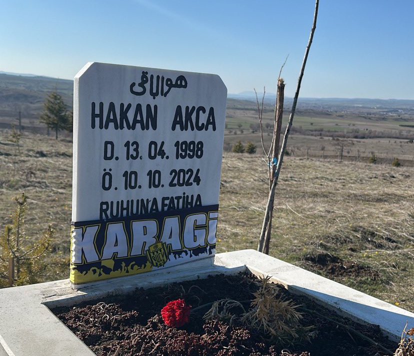 İyi ki doğdun aslan kardeşim