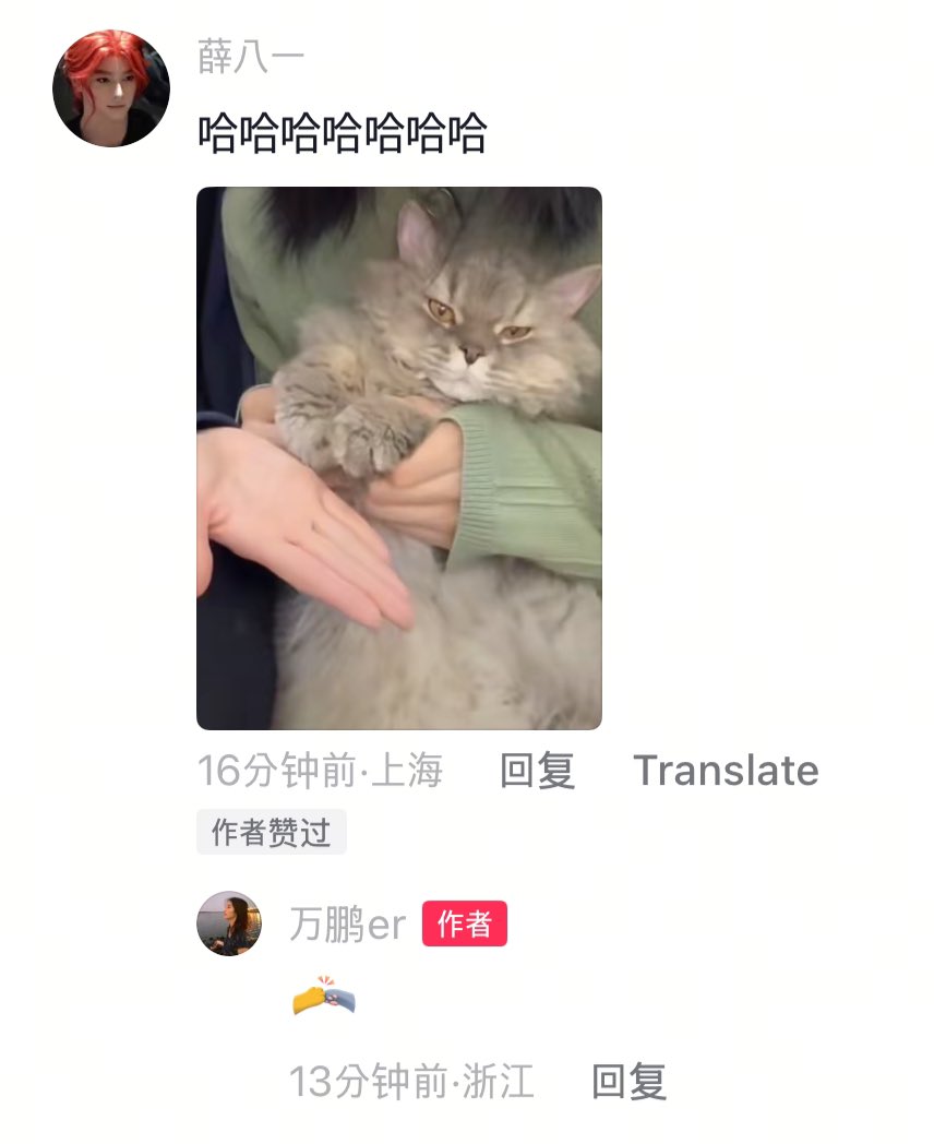 ding tweet media