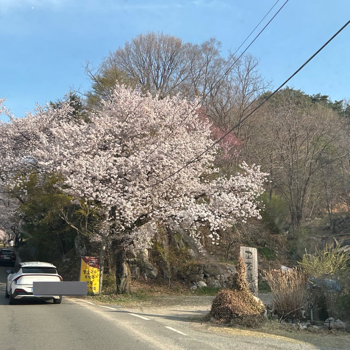 내 출근길이 진짜 이쁨 ..