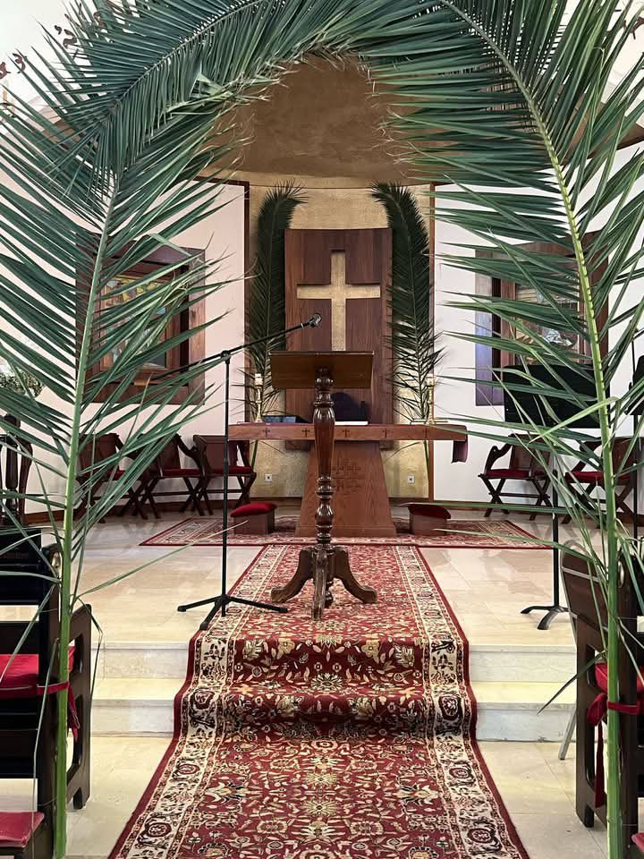 Samia Qumri tweet media