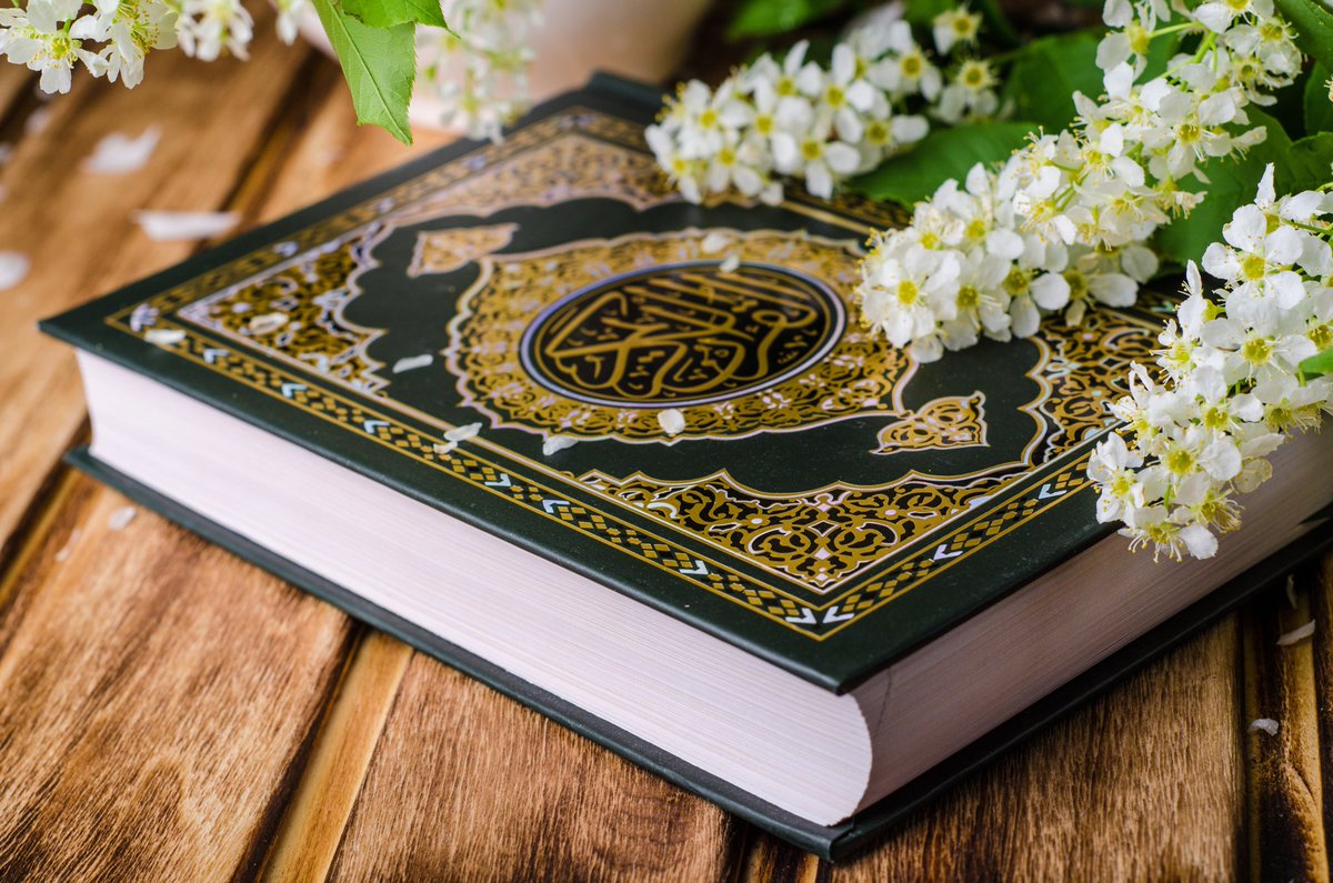Dexonser's tweet photo. الراحة مع هذا الكتاب فقط

أما كتبكم هذه كتب الضلال واللغو والغواية فهي رجس من عمل الشيطان https://t.co/snQP25Toy3