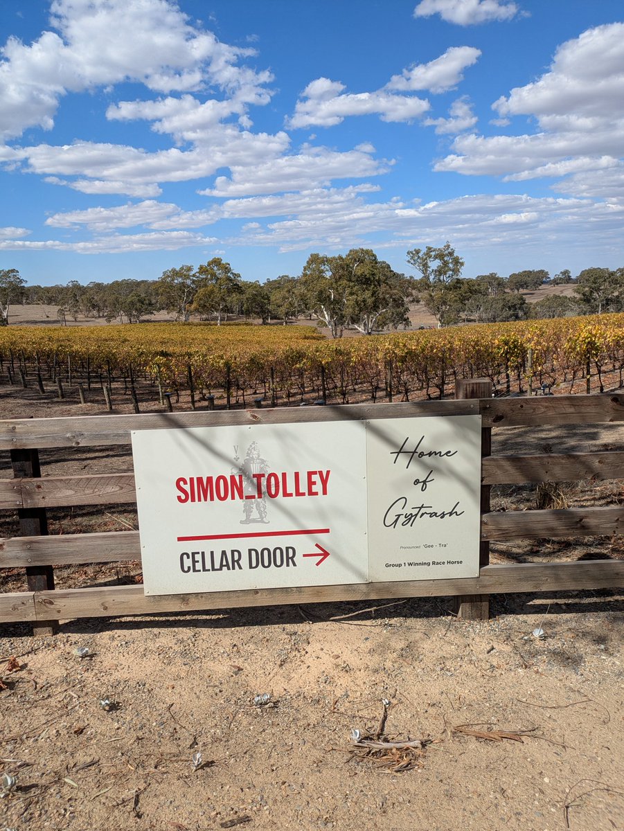 s_saroa's tweet photo. Thank you to all our members and friends who joined us for some horses and a winery lunch today! And a huge thank you to @SeyersRacing for showing us around your stable and #SimonTolleyWines for hosting us for lunch and letting us visit #Gytrash ! #SAROA #SAracehorseowners https://t.co/9JJlQQofpy