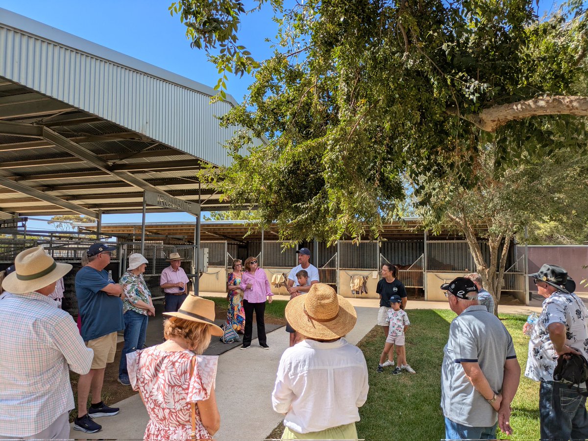 s_saroa's tweet photo. Thank you to all our members and friends who joined us for some horses and a winery lunch today! And a huge thank you to @SeyersRacing for showing us around your stable and #SimonTolleyWines for hosting us for lunch and letting us visit #Gytrash ! #SAROA #SAracehorseowners https://t.co/9JJlQQofpy