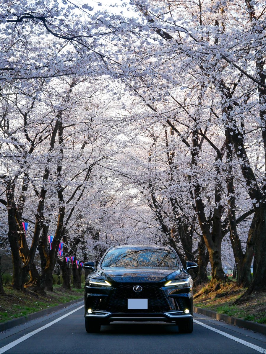 megu_k_'s tweet image. #レクサスと日本の風景 
#LEXUSRX 
#LEXUS