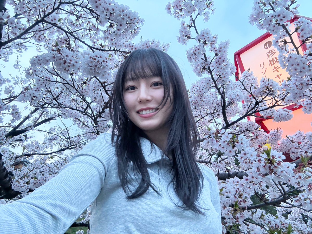 ギリギリセーフ‼︎ で、彦根城の桜を見に行けましたー‼︎ 嬉しい