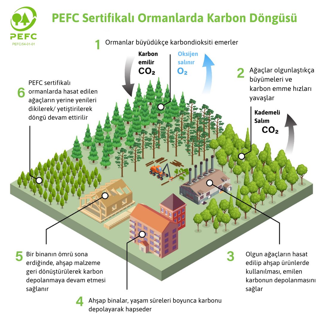 PEFC_Turkiye's tweet photo. Sürdürülebilir orman yönetimi, iklim değişikliğiyle mücadelede en güçlü araçlardan biridir.🌿PEFC sertifikalı ormanlarda bu döngü sayesinde karbon doğada dengeli şekilde depolanıyor ve doğayı korurken ekonomiye katkı sağlar. Sürdürülebilir ormanlar, sağlıklı bir gelecek demektir. https://t.co/9acsmuHwXP