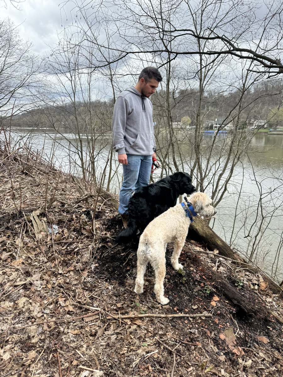 Just Georgee 2020 tweet media