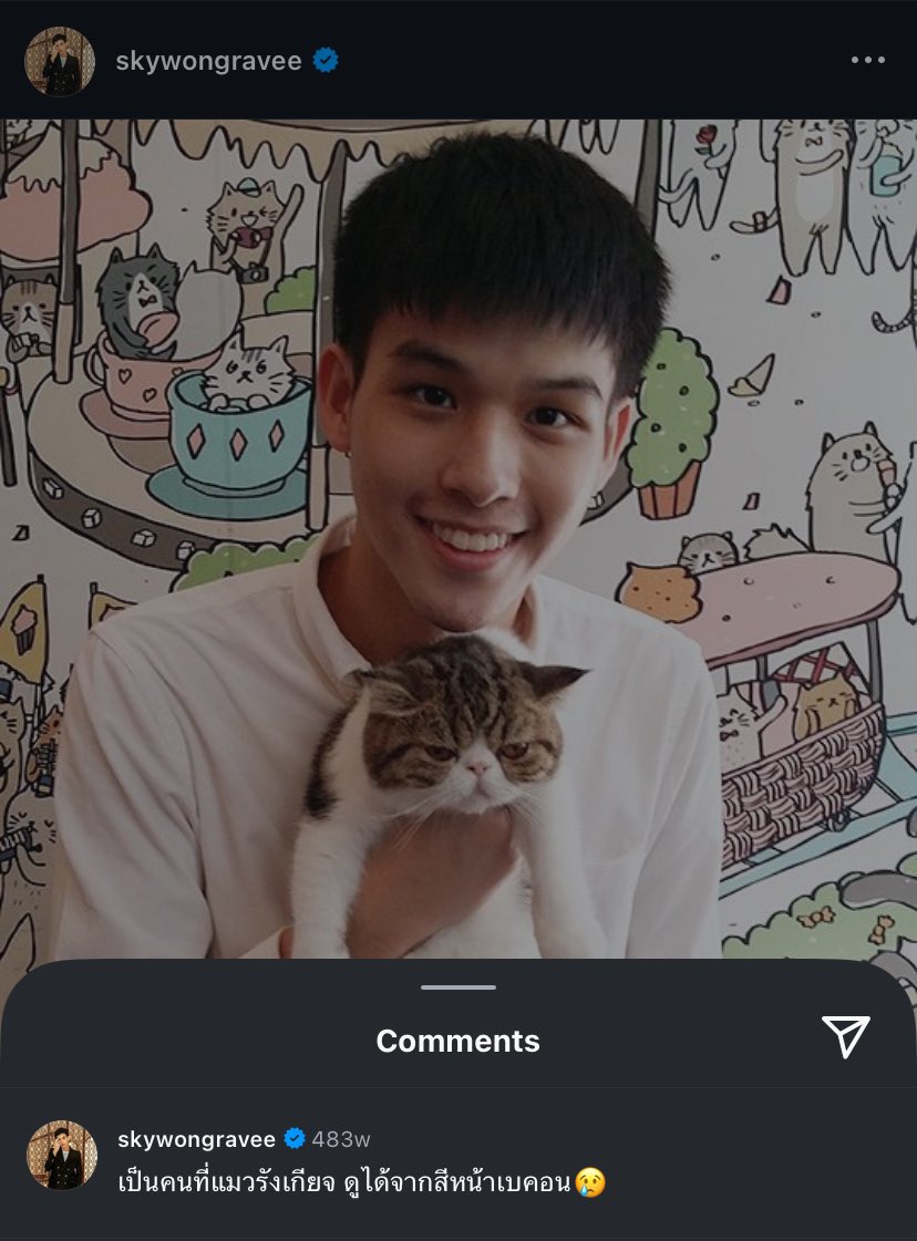 meow 😽 tweet media