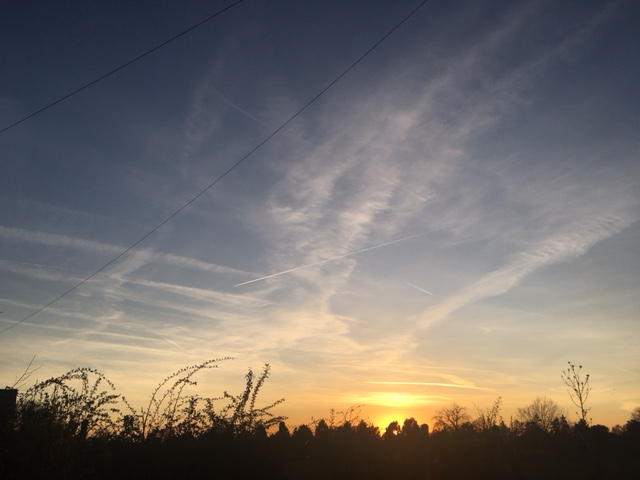 TheRock80649333's tweet photo. Geoengineering - the ultimate globalist insult to mankind!

No sun, no life!

The United Nations are overseeing the spraying throughout the Western World. Illegal at a national level, the practice is being carried out under emergency measures to counter climate change. The idea is to reflect sunlight from the earth to prevent global warming. There are circa. 196 nations in the UN. My belief is that a mix of military and private aircraft are engaged in the spraying. All firms and individuals employed are sworn to secrecy. It is a multi-billion $ industry globally. Rumour has it that dangerous industrial waste is the product being sprayed and there have been tests on rainwater giving some credence to this claim. In any case, the practice, its purpose and effectiveness are all questionable. The practice is experimental! #geoengineering