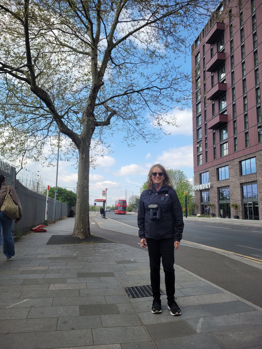 LinfordBirder's tweet photo. After bashing our E Tilbury marshes for 9 hours /10+ miles clocking 84 species yday. #bcbw25 Day 3 starts hearing traffic and tube trains over Chiffchaff n Blackcap and 2 Egyptian Geese flying over a London bus. At #WalthamstowWetlands  for 3 hrs between @HTBChurch services. https://t.co/pOqENYtwv7