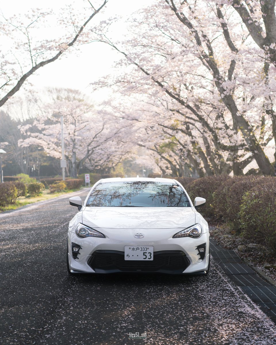 hiro530100's tweet photo. #桜と愛車 
今年の桜はこれで終わり😌 https://t.co/8uTJQtJj6q
