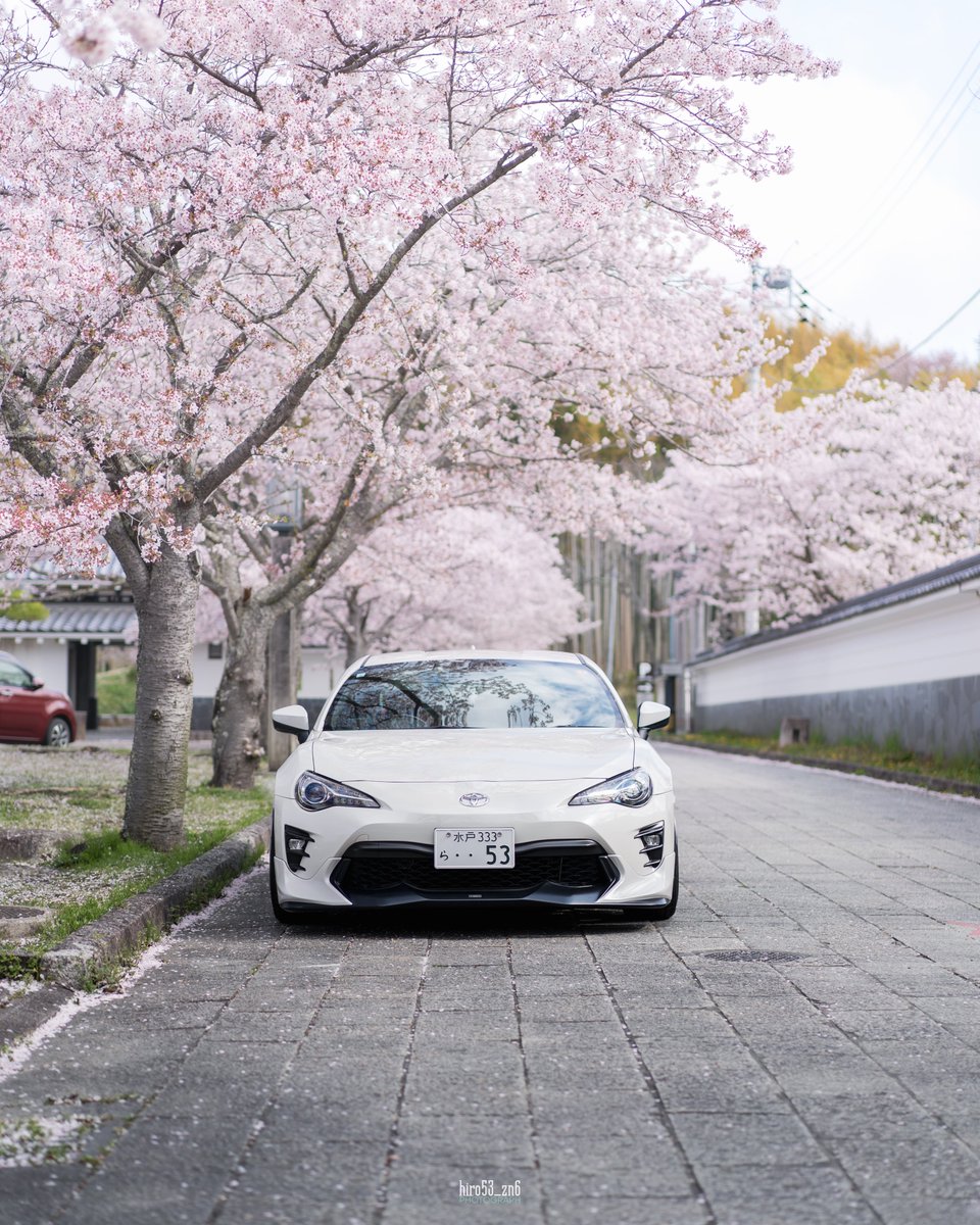 hiro530100's tweet photo. #桜と愛車 
今年の桜はこれで終わり😌 https://t.co/8uTJQtJj6q
