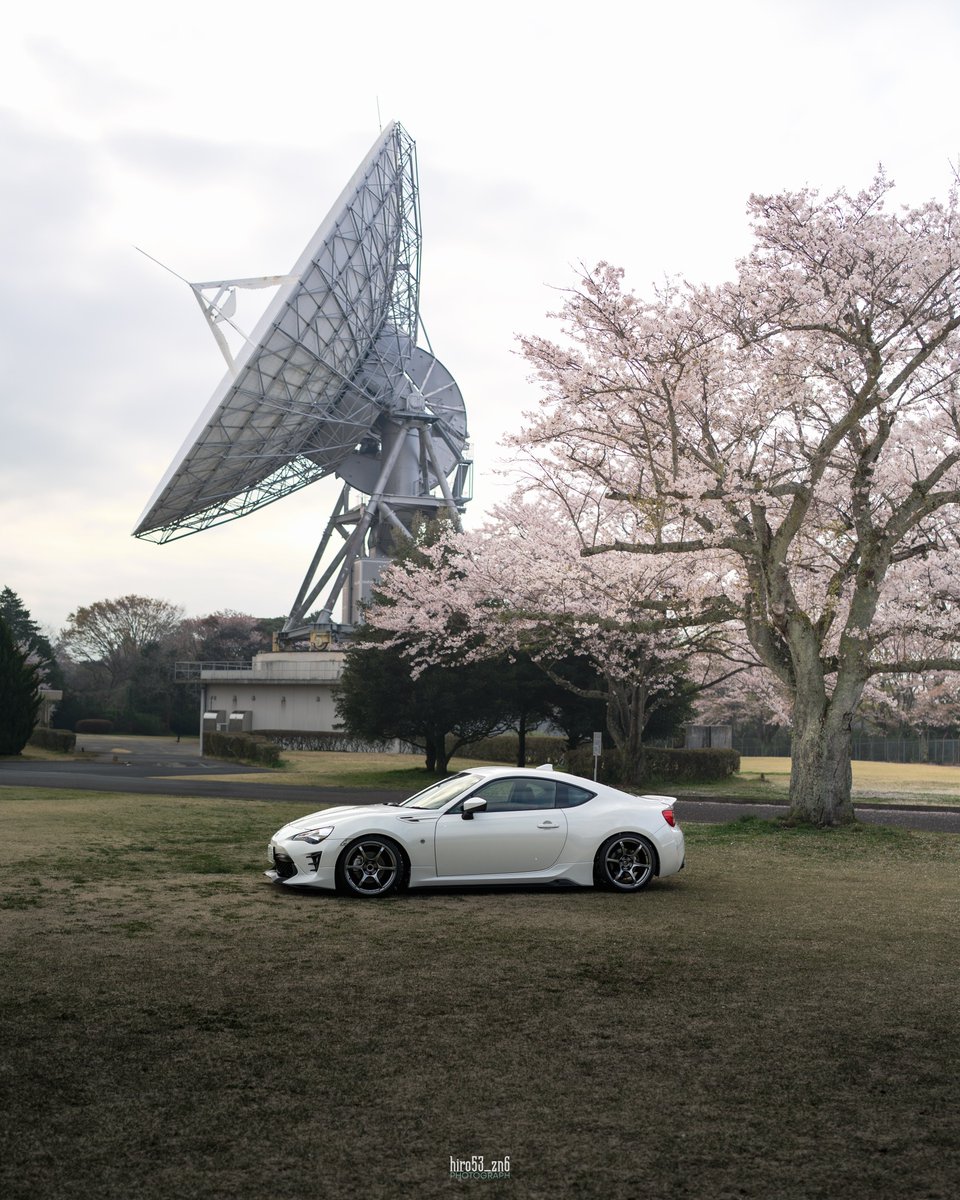 hiro530100's tweet photo. #桜と愛車 
今年の桜はこれで終わり😌 https://t.co/8uTJQtJj6q