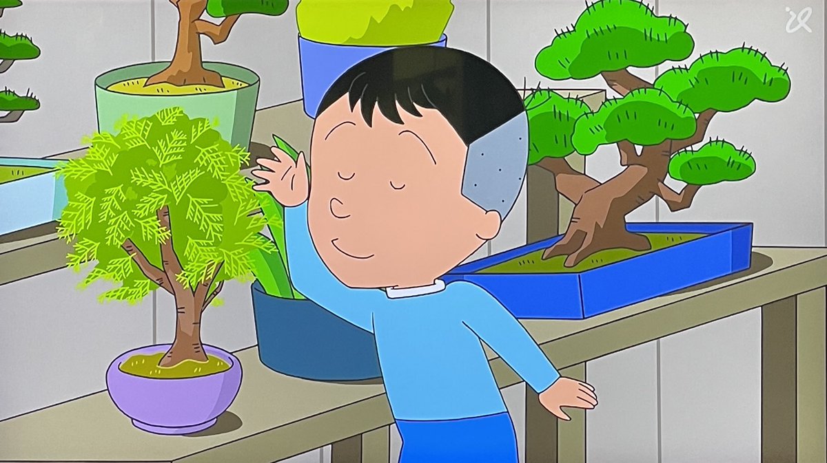 サザエさん 第2797回 「がんばれ！アスナロ」 久々のホリカワくんの大